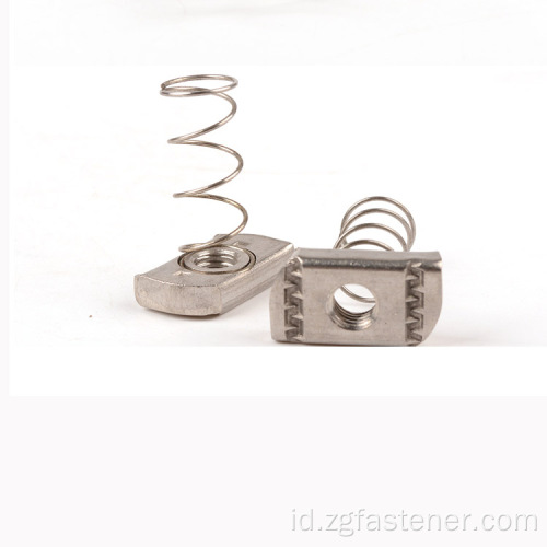 Stainless Steel Spring Nut Ukuran Standar Spring Lock Nut Galvanis